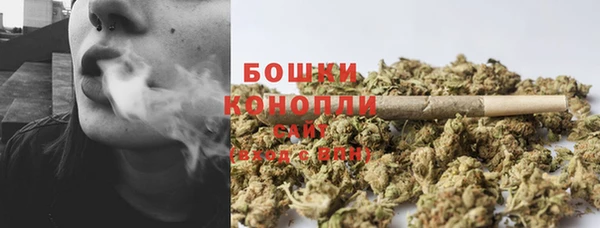 тгк Вяземский