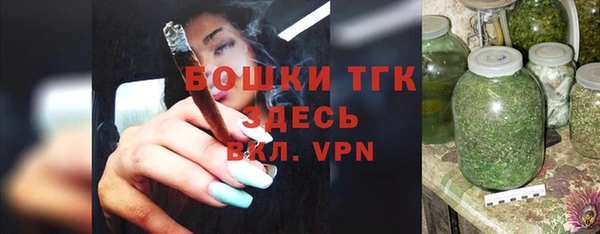 Альфа ПВП Горняк