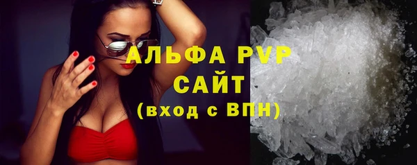 Альфа ПВП Горняк
