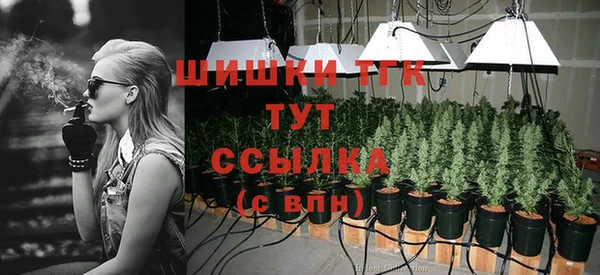 тгк Вяземский