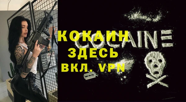 Альфа ПВП Горняк